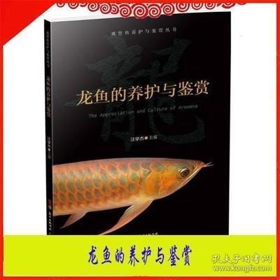養龍魚的技術知識有哪些