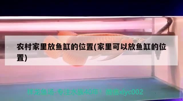 廣州水族館闖缸魚進去四天了