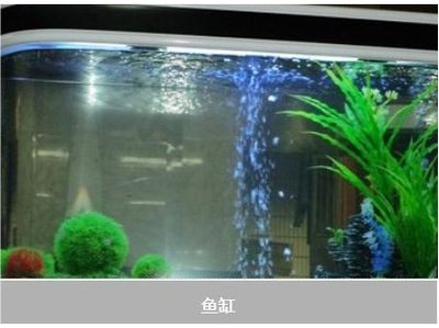 魚缸殺菌燈選購技巧:魚缸殺菌燈的選擇技巧 魚缸百科 第4張 魚缸殺菌燈選購技巧:魚缸殺菌燈的選擇技巧 魚缸殺菌燈選購技巧:魚缸殺菌燈的選擇技巧 魚缸百科 第4張