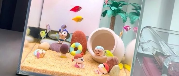 銀川市興慶區佳智峰水族館（銀川市興慶區佳智峰水族館電話）