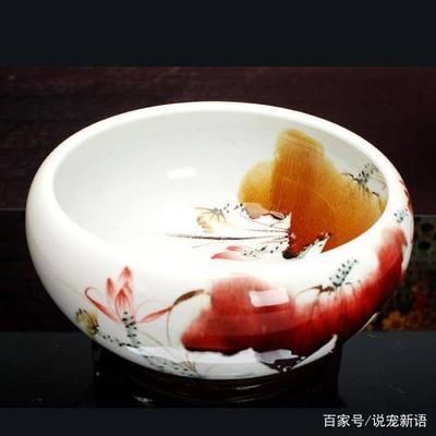 古代魚缸的文化意義：古代魚缸的收藏價值