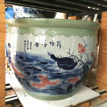 熱帶魚銀龍魚怎么養(yǎng)好（熱帶魚銀龍魚怎么養(yǎng)好看）