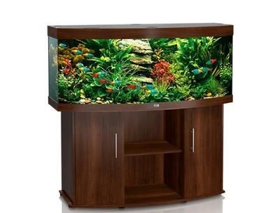 德國進口魚缸的價格：德國進口的魚缸在市場上的價格各異