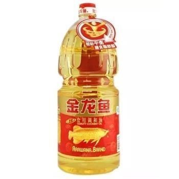 金龍魚銀龍魚紅龍魚哪個好養（金龍魚銀龍魚紅龍魚哪個好養）
