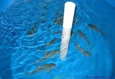 工廠魚缸養魚幾條好養魚的注意事項和建議您可以參考：工廠養魚幾條好