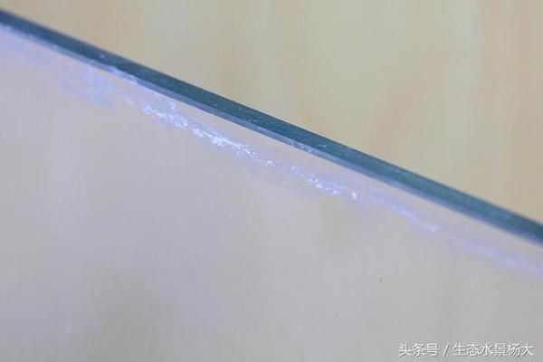 魚缸水質管理的重要性魚缸水質管理的重要性魚缸水質管理：如何有效地去除魚缸水垢？