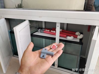 帶蓋的魚缸怎么拆下來：拆卸帶蓋的魚缸需要謹慎操作