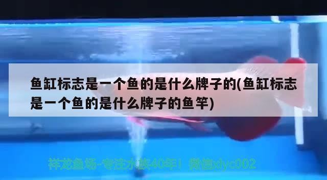 威海火炬高技術(shù)產(chǎn)業(yè)開發(fā)區(qū)老龍王水族館（威海老龍灣）