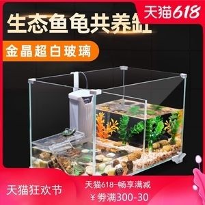 自制生態魚缸的設計靈感來源于世界各地的自然景觀：生態魚缸養護技巧生態魚缸養護技巧生態魚缸養護技巧