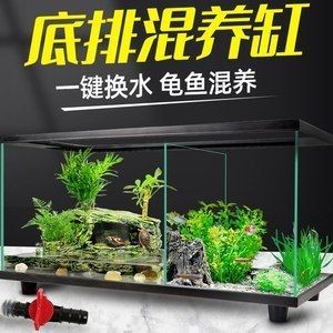 自制生態魚缸的設計靈感來源于世界各地的自然景觀：生態魚缸養護技巧生態魚缸養護技巧生態魚缸養護技巧