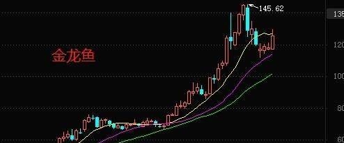 銀龍魚腸炎怎么辦（銀龍魚得腸炎了怎么治療）