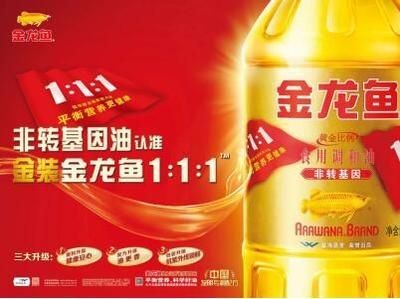 金龍魚一天吃多少合適
