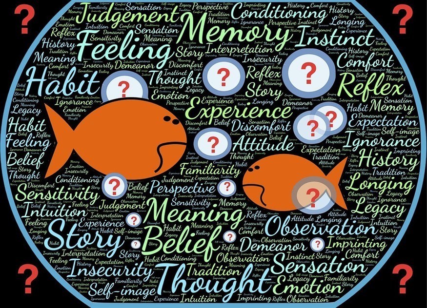 龍魚和虎魚一起養(yǎng)好嗎圖片（龍魚和虎魚能混養(yǎng)嗎）