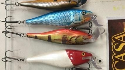 如何挑選健康的黃金河虎魚,挑選健康的黃金河虎魚需要注意以下幾個方面 虎魚百科 第1張 如何挑選健康的黃金河虎魚,挑選健康的黃金河虎魚需要注意以下幾個方面 如何挑選健康的黃金河虎魚,挑選健康的黃金河虎魚需要注意以下幾個方面 虎魚百科 第1張