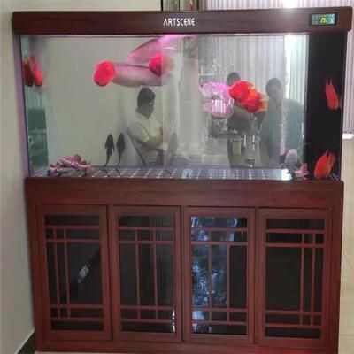 浮法玻璃魚缸和超白魚缸的區(qū)別：浮法玻璃魚缸與超白魚缸的區(qū)別