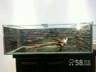 呼和浩特魚缸定制店：呼和浩特哪里有賣魚缸的地方