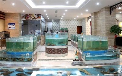 廣州定制大型魚缸的優勢：廣州定制大型魚缸公司