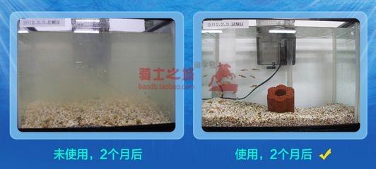 魚缸過濾系統維護與故障排查學習如何選擇魚缸過濾系統：如何選擇魚缸過濾材料 魚缸過濾系統維護與故障排查學習如何選擇魚缸過濾系統：如何選擇魚缸過濾材料 魚缸百科 第4張