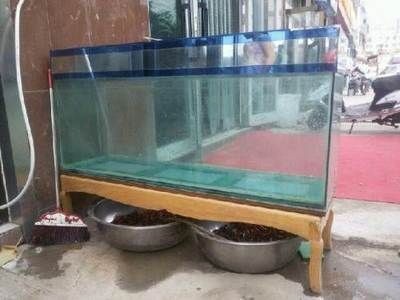 云陽縣鑫鑫水族館（云陽縣鑫鑫水族館電話）