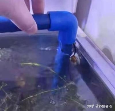 底濾魚缸停電后,下面的水會溢出