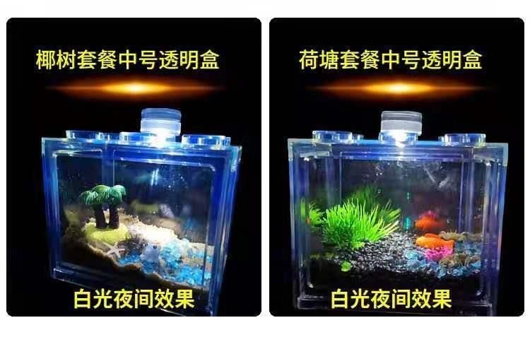 狗頭魚飼養技巧：不同品種狗頭魚對魚缸大小的需求有所不同的需求有所不同