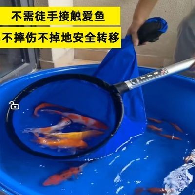 龍魚跳出魚缸摔到地下怎么辦