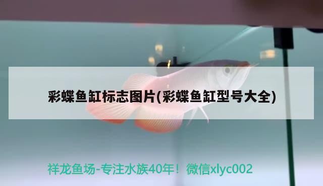 龍魚與虎魚混養視頻教程全集（龍魚和虎魚打架的解決辦法）