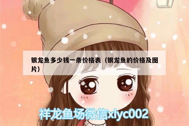 銀龍魚多少錢一條價格表（銀龍魚的價格及圖片）