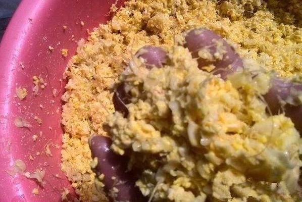 老虎魚活餌保存方法，老虎魚活餌的保存方法