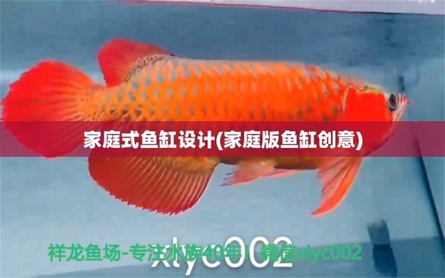 河源市源城區皇中水族館（河源市源城區皇中水族館電話）