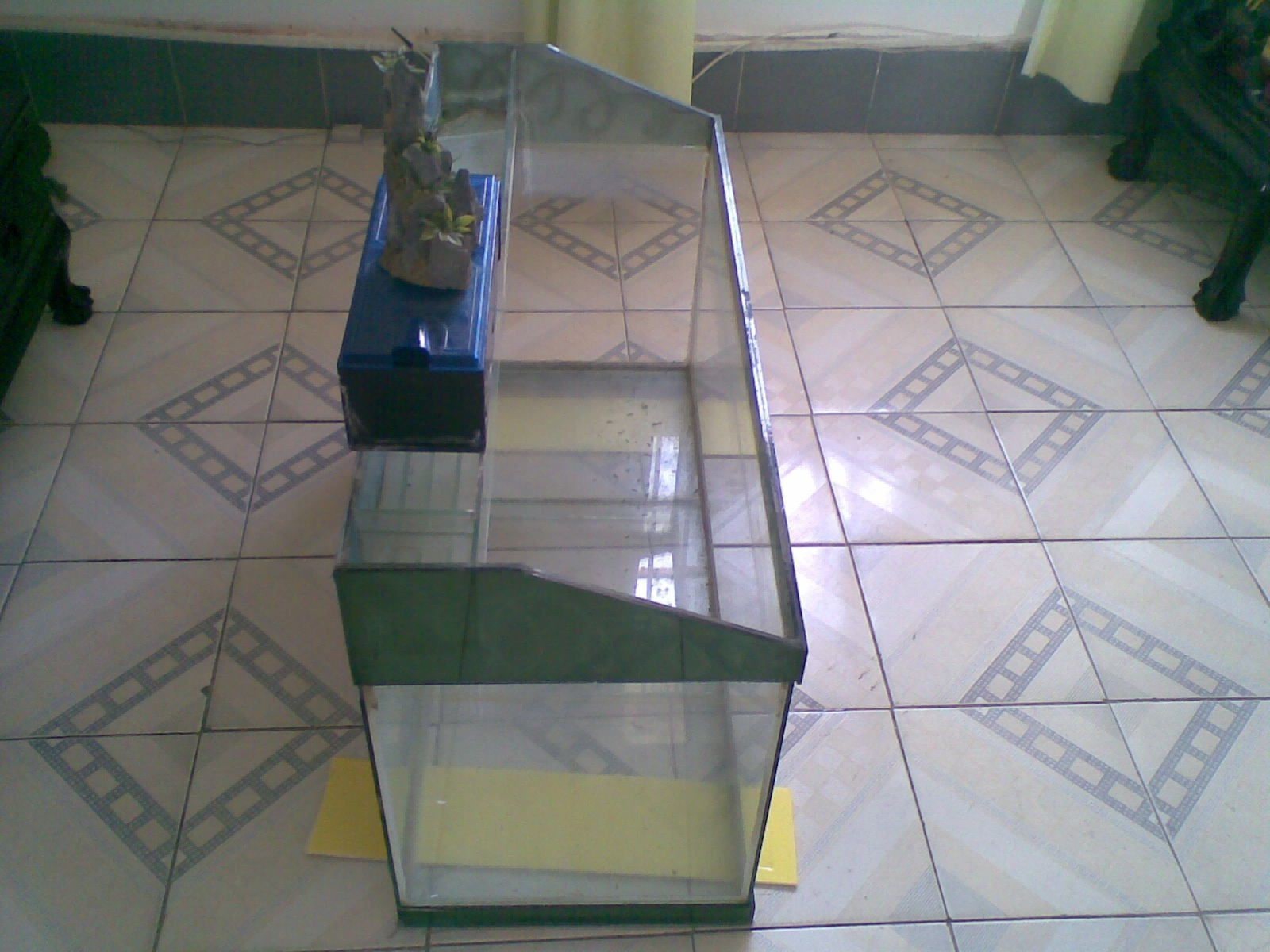 廣州魚缸廠家探訪廣州二手魚缸出售市場相關信息：如何挑選二手魚缸