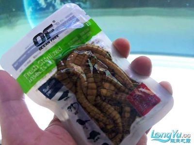 幫我看下小虎魚