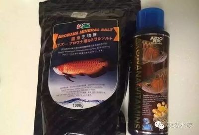 養龍魚最好的維生素