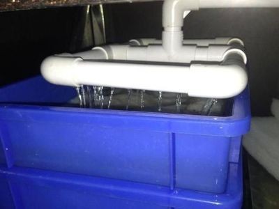 解決底濾魚缸下水管堵塞的幾種方法：底濾魚缸下水管堵塞怎么辦 解決底濾魚缸下水管堵塞的幾種方法：底濾魚缸下水管堵塞怎么辦 魚缸百科 第1張