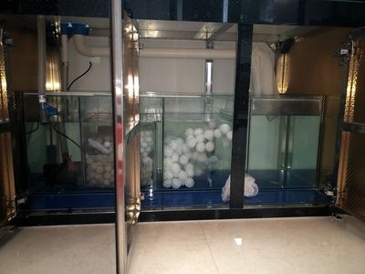 解決底濾魚缸下水管堵塞的幾種方法：底濾魚缸下水管堵塞怎么辦 解決底濾魚缸下水管堵塞的幾種方法：底濾魚缸下水管堵塞怎么辦 魚缸百科 第4張