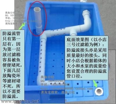 魚缸過濾系統的選擇：魚缸溢流系統的選擇