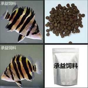 泰國虎魚飼料保存條件優化，關于泰國虎魚的飼養方法