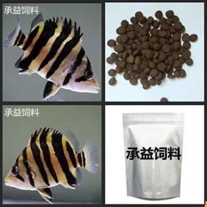 泰國虎魚飼料保存條件優化，關于泰國虎魚的飼養方法