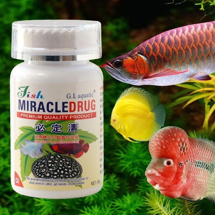 龍魚驅蟲用什么藥效果好用