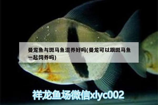 陽東縣東城鎮御龍居水族館（陽東縣東城鎮御龍居水族館電話）