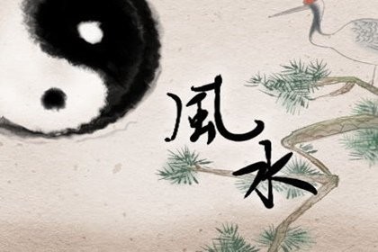 銀龍魚身上有白點是怎么回事圖片視頻講解一下（銀龍魚身上有白點怎么治）