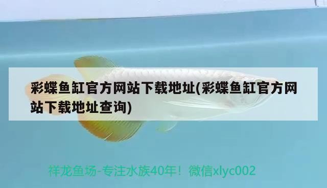 銀龍魚自己撞掉鱗怎么處理（銀龍魚自己撞掉鱗怎么處理好）