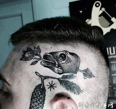 與銀龍魚混養的龜