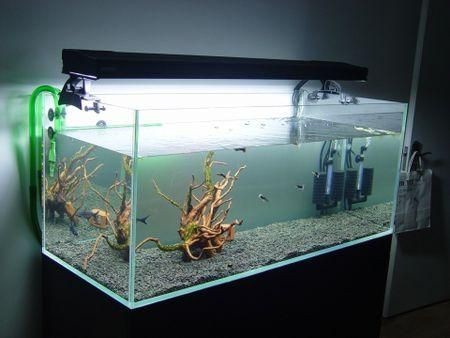 蒼山縣御水泉水族有限公司（蒼山縣御水泉水族有限公司電話(huà)）