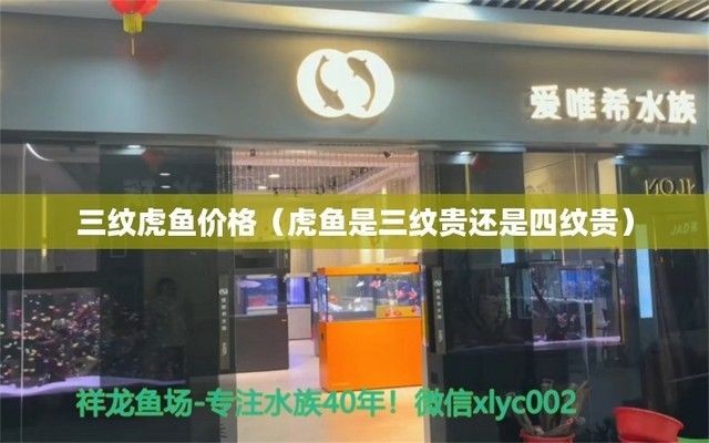 四紋虎魚飼料營養(yǎng)均衡方案，四紋虎魚營養(yǎng)均衡方案