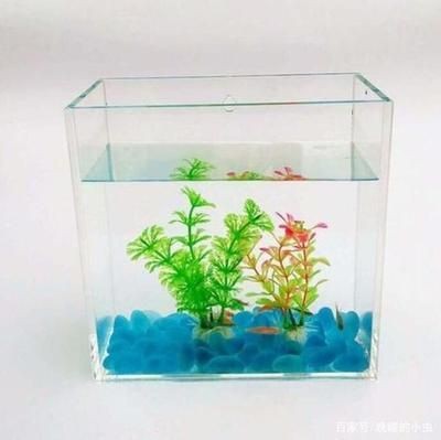 方形魚缸好還是長方形魚缸好：方形魚缸與長方形魚缸的區別