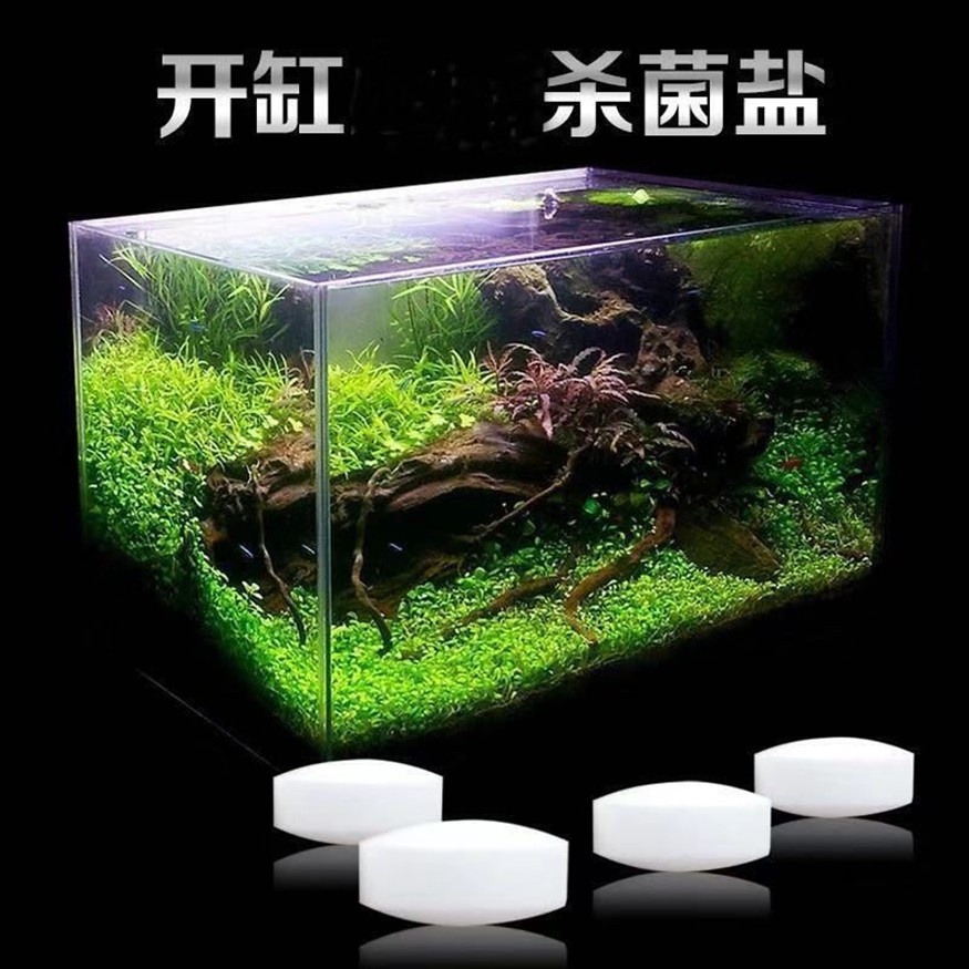淡水魚缸海鹽的正確使用方法：淡水魚缸海鹽在淡水魚缸里放海鹽的作用