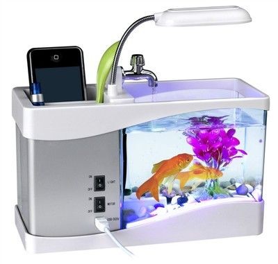 水族生態系統的構建與維護：無錫鴻顏水族生態系統魚缸廠家直銷服務廠家直銷服務