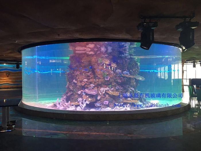 海水景觀魚缸是什么？：關(guān)于海水景觀魚缸的一些信息