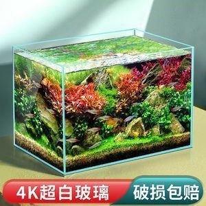 淮北市杜集區(qū)礦山集孫金龍水族館（淮北市杜集區(qū)礦山集孫金龍水族館電話）